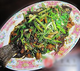 沙姜煎焗黑鲫鱼的做法