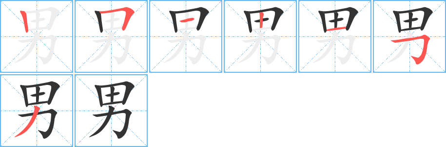 男字的笔顺分布演示