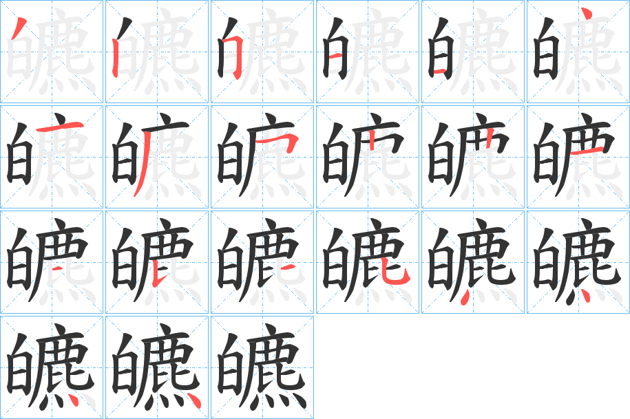 皫字的笔顺分布演示