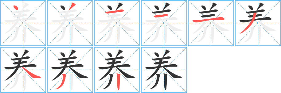 养字的笔顺分布演示