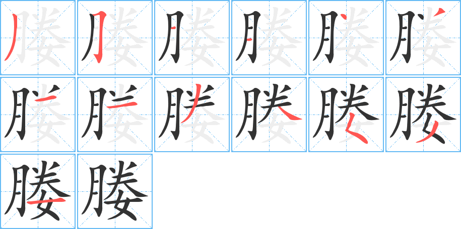 媵字的笔顺分布演示