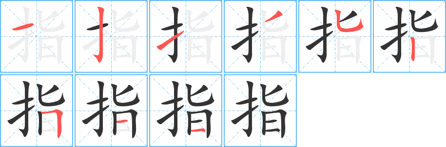 指字的笔顺分布演示