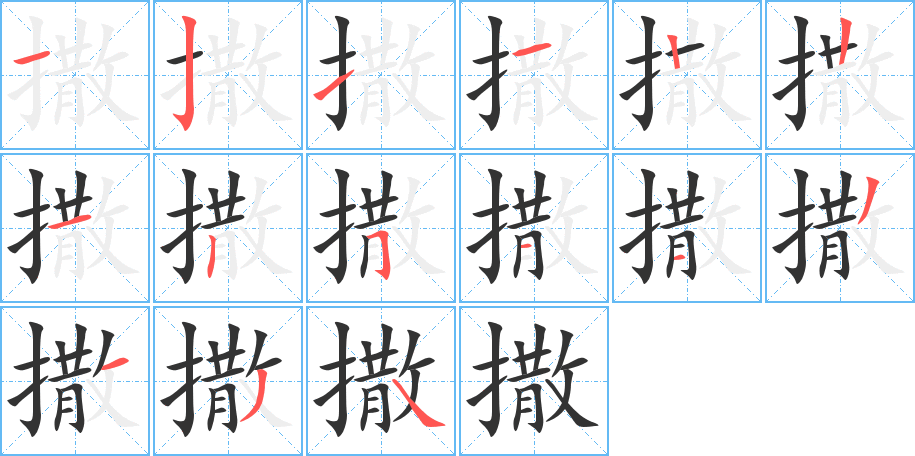 撒字的笔顺分布演示