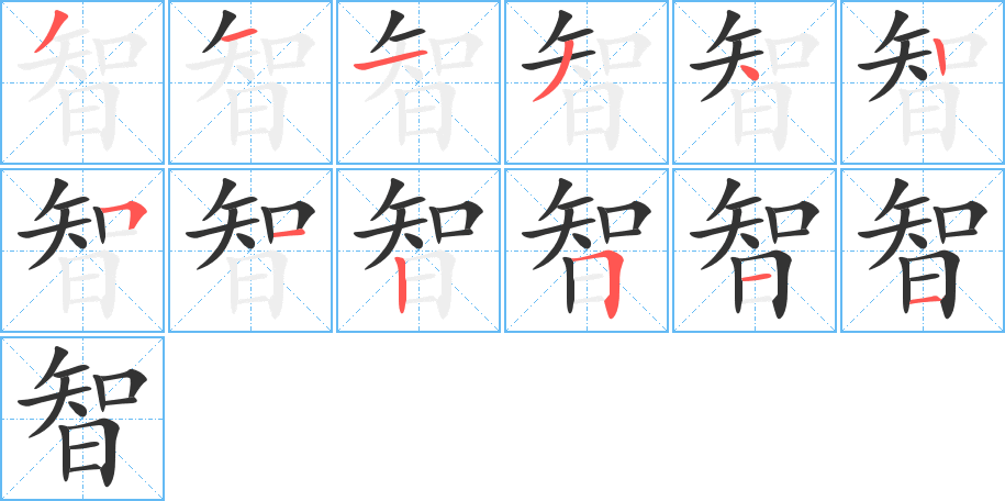 智字的笔顺分布演示