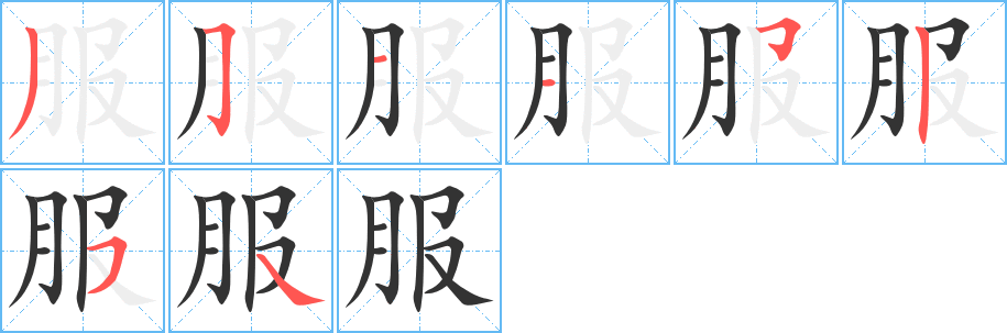 服字的笔顺分布演示