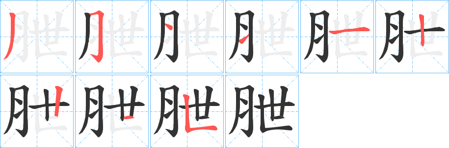 朑字的笔顺分布演示