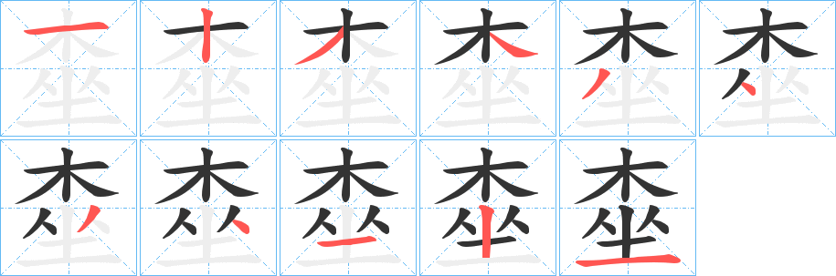 桽字的笔顺分布演示