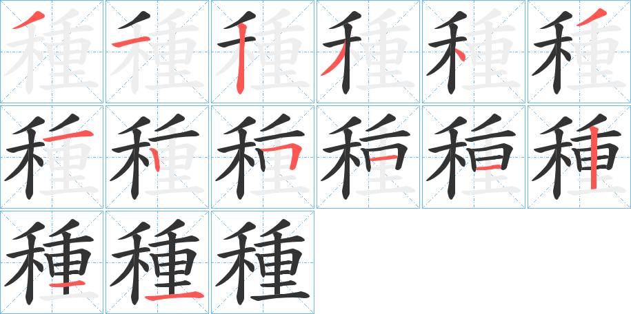 種字的笔顺分布演示