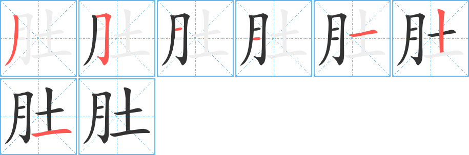 肚字的笔顺分布演示