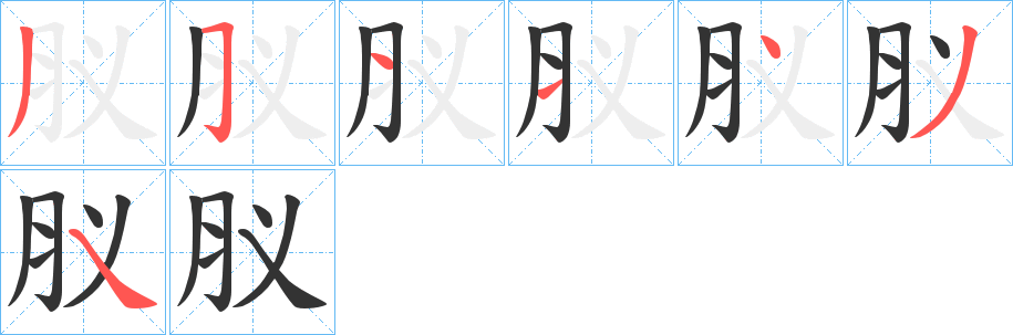 肞字的笔顺分布演示