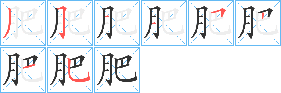 肥字的笔顺分布演示