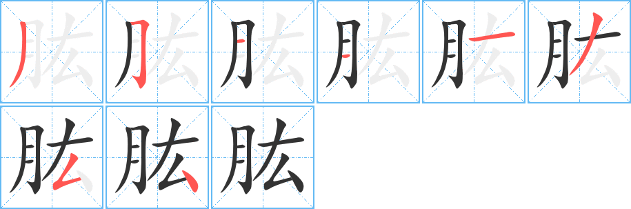 肱字的笔顺分布演示