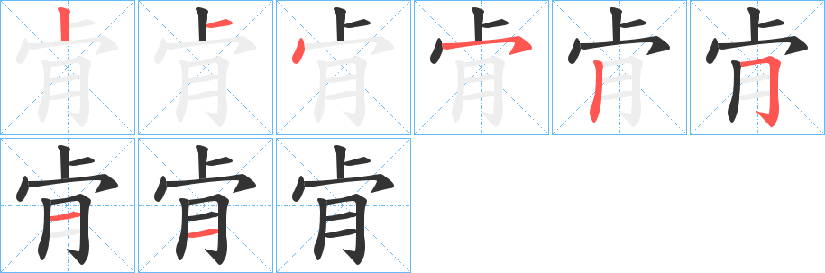 肻字的笔顺分布演示