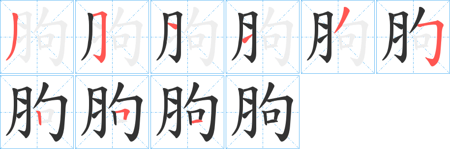 胊字的笔顺分布演示