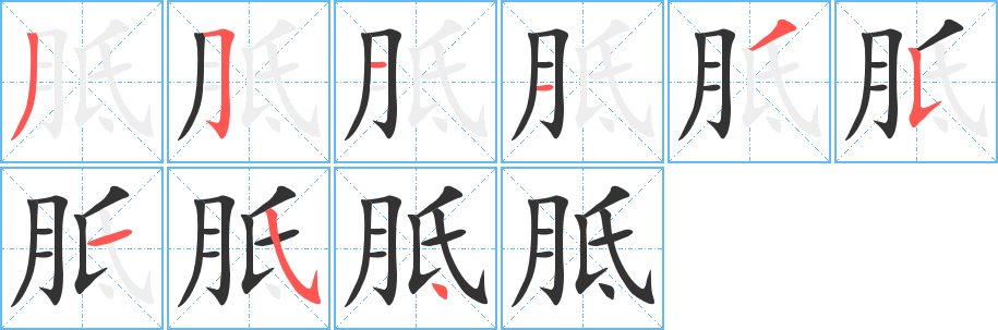 胝字的笔顺分布演示