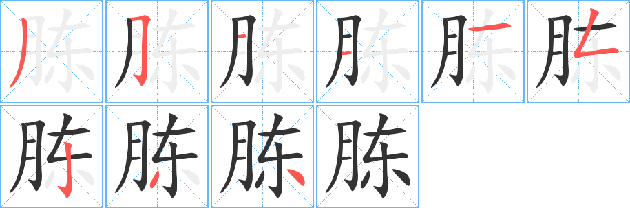 胨字的笔顺分布演示