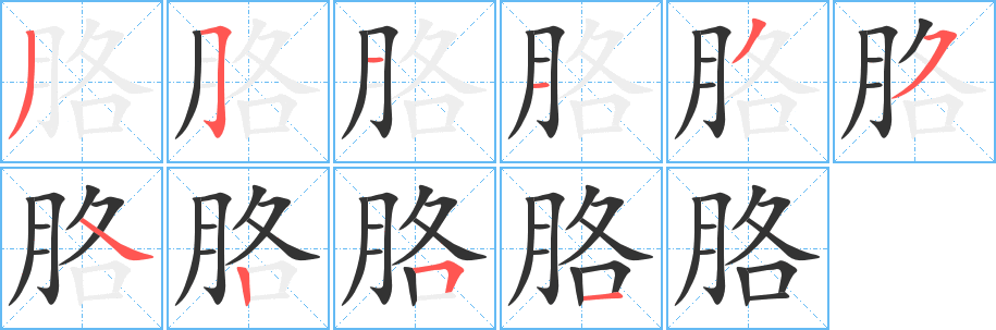 胳字的笔顺分布演示