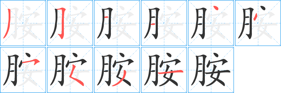 胺字的笔顺分布演示