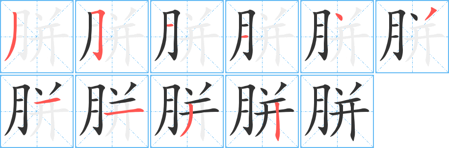 胼字的笔顺分布演示