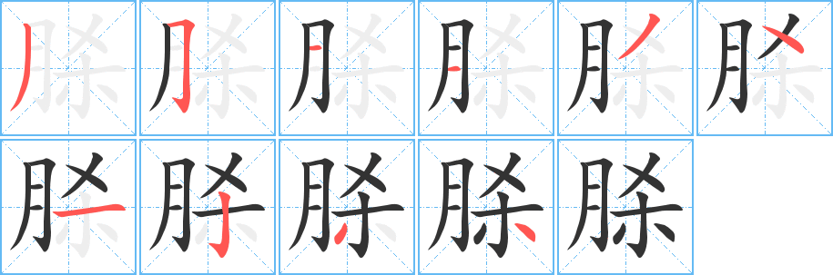 脎字的笔顺分布演示