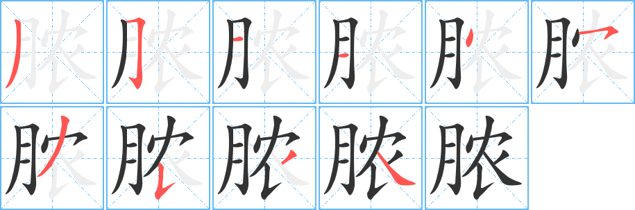 脓字的笔顺分布演示