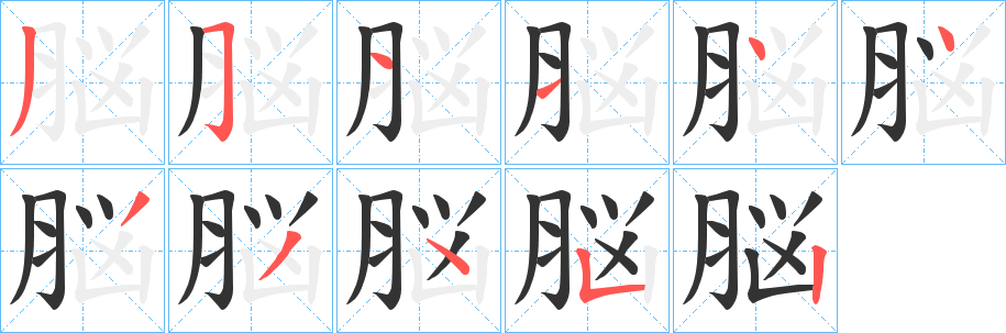 脳字的笔顺分布演示