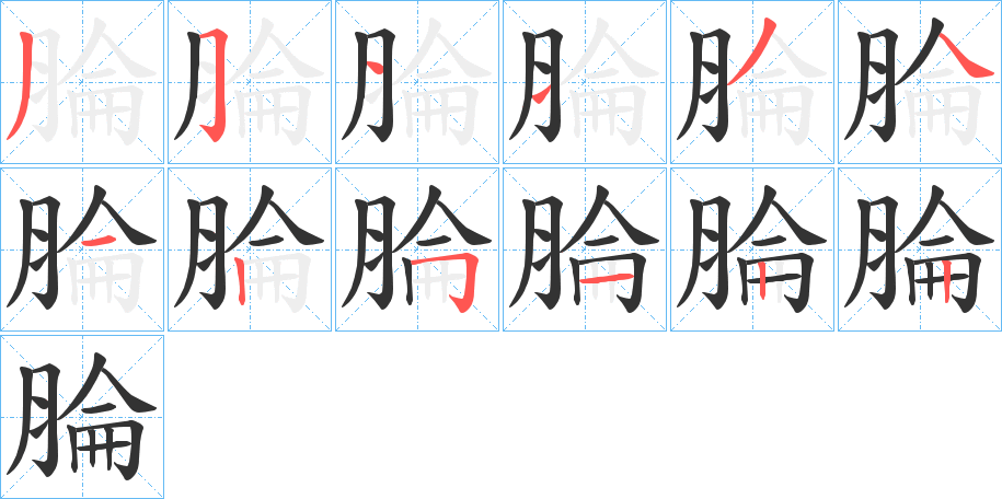 腀字的笔顺分布演示