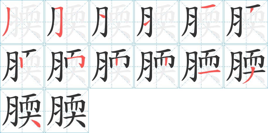 腝字的笔顺分布演示