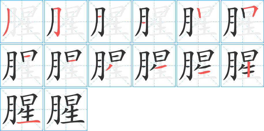 腥字的笔顺分布演示