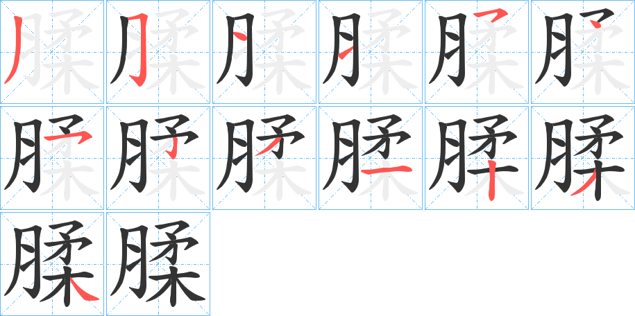 腬字的笔顺分布演示