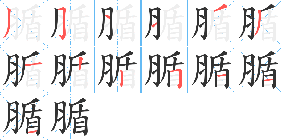 腯字的笔顺分布演示