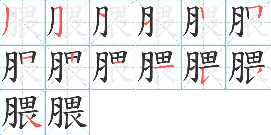 腲字的笔顺分布演示