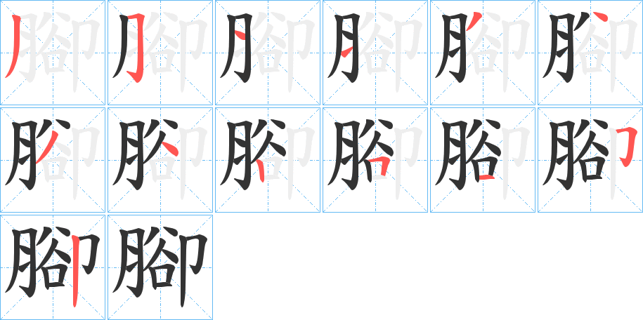 腳字的笔顺分布演示