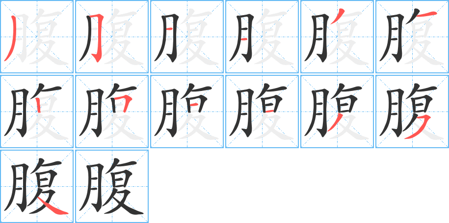 腹字的笔顺分布演示