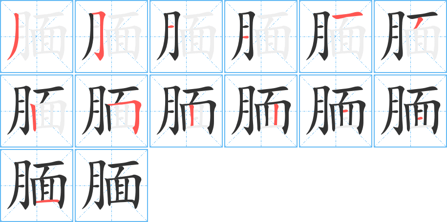 腼字的笔顺分布演示