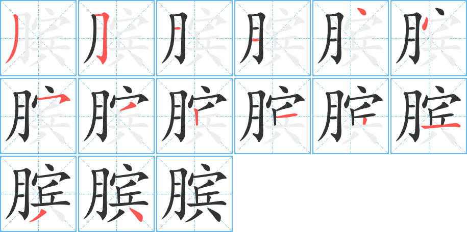 膑字的笔顺分布演示