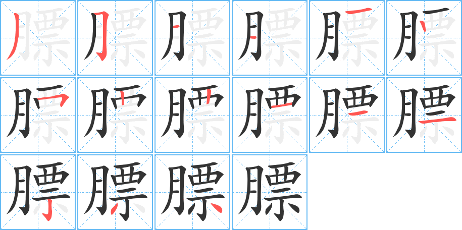 膘字的笔顺分布演示