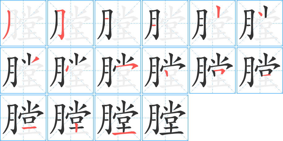 膛字的笔顺分布演示