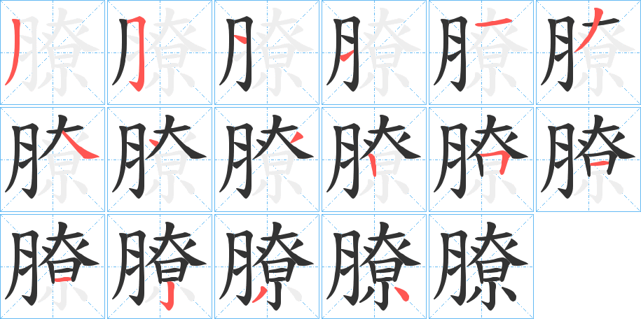 膫字的笔顺分布演示