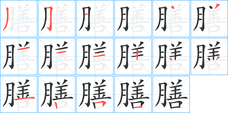 膳字的笔顺分布演示