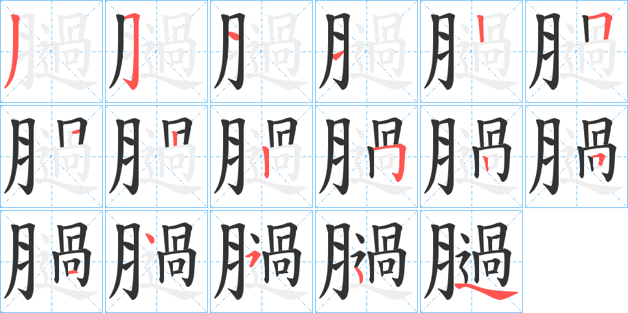 膼字的笔顺分布演示