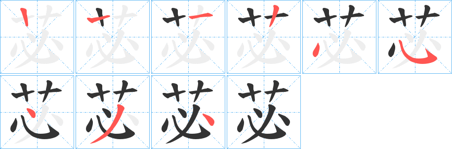 苾字的笔顺分布演示