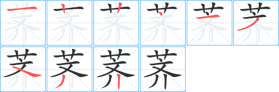 荠字的笔顺分布演示