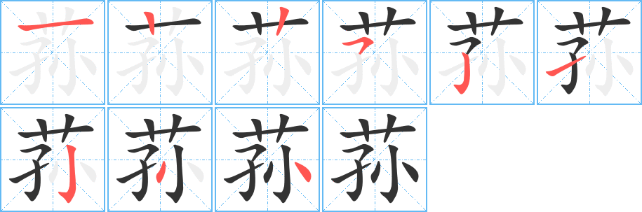 荪字的笔顺分布演示