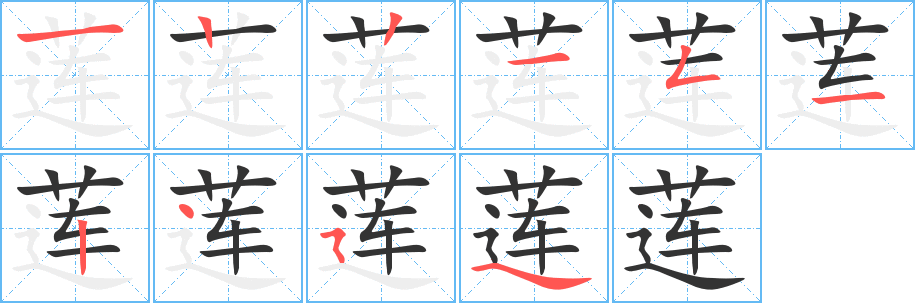 莲字的笔顺分布演示