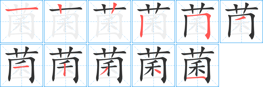 菌字的笔顺分布演示