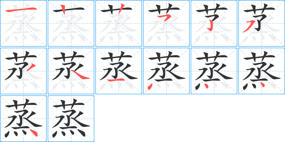 蒸字的笔顺分布演示