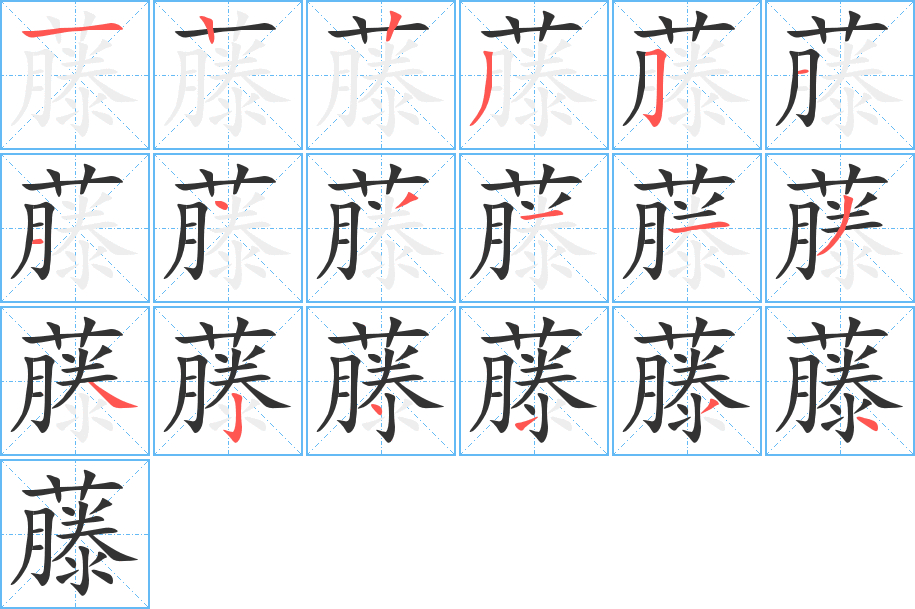 藤字的笔顺分布演示