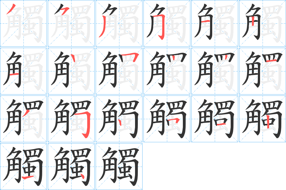 觸字的笔顺分布演示