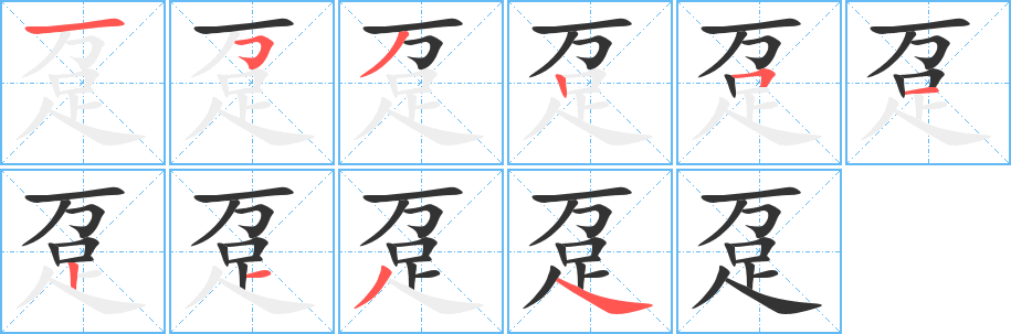 趸字的笔顺分布演示